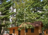 Cabin5