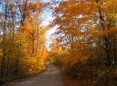 IMG_3183.JPG (Small)