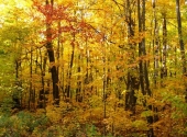 IMG_3578