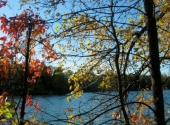 IMG_7487.JPG